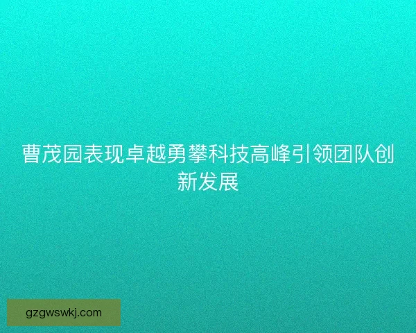 曹茂园表现卓越勇攀科技高峰引领团队创新发展