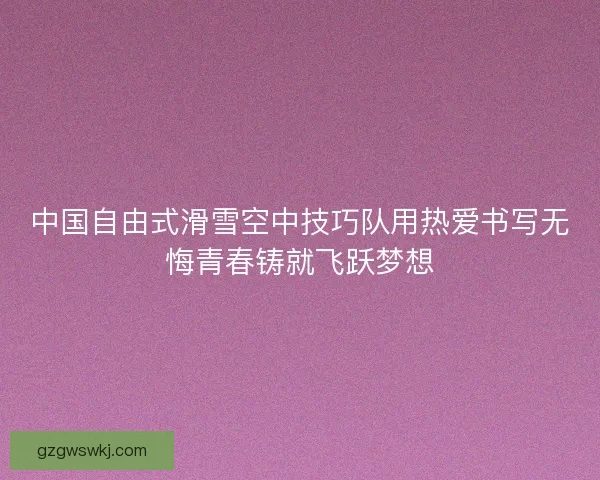 中国自由式滑雪空中技巧队用热爱书写无悔青春铸就飞跃梦想